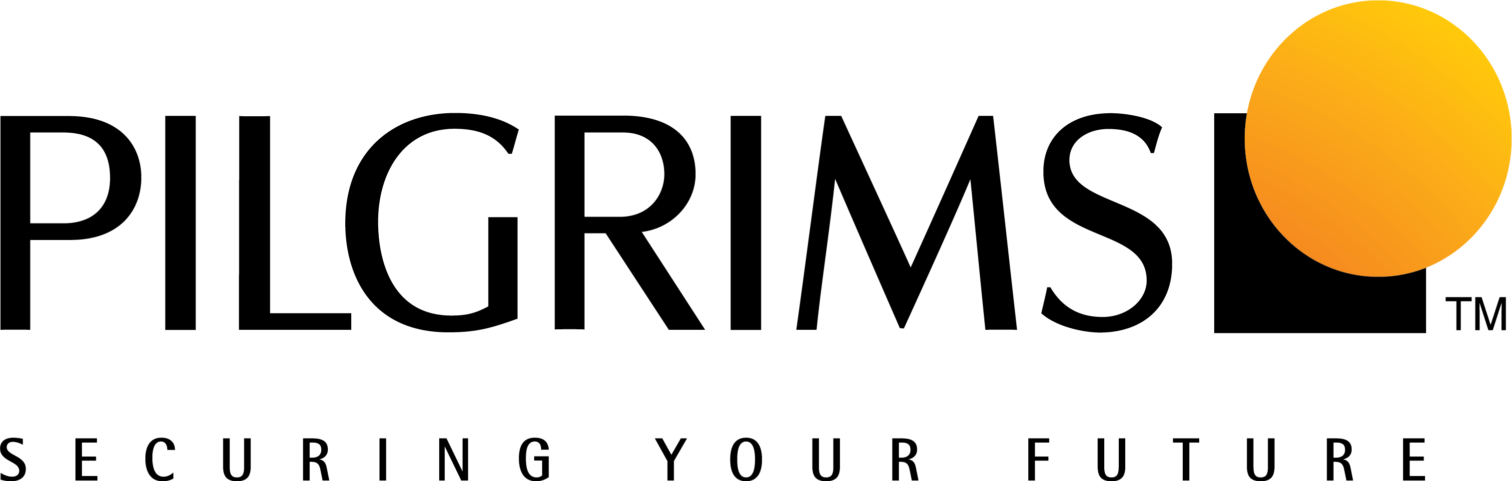 Piligrims Group USA Portal